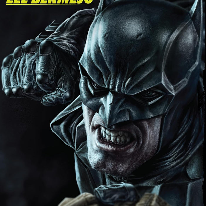 DC Comics: The Art of Lee Bermejo HC