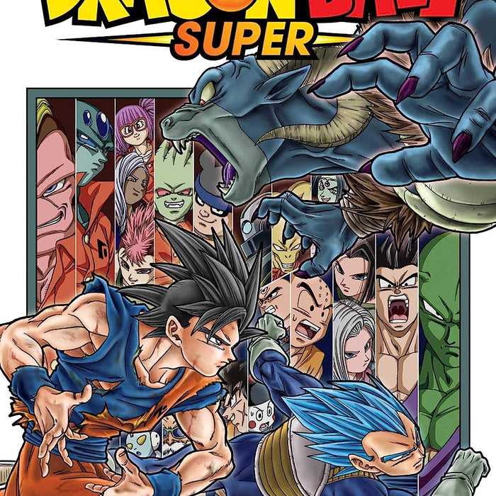 Dragon Ball Super Vol. 13 TPB