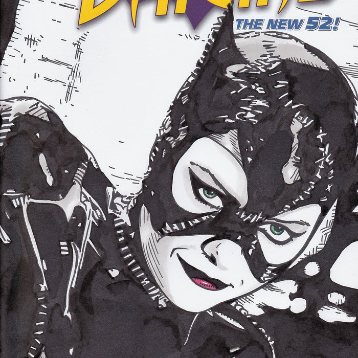 Catwoman Original Art by Gary Parkin